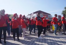 Peringati Harganas, Dissos P3APPKB Klaten Gelar Senam Tim Pendamping Keluarga